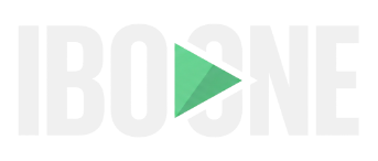 IBO ONE logo